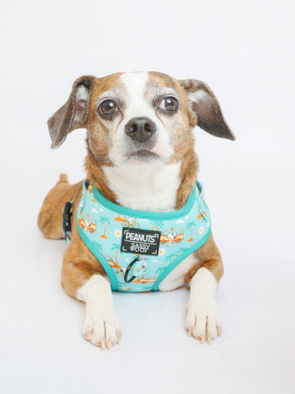 Dog Two Piece Bundle - Peanuts™ Road Tripping