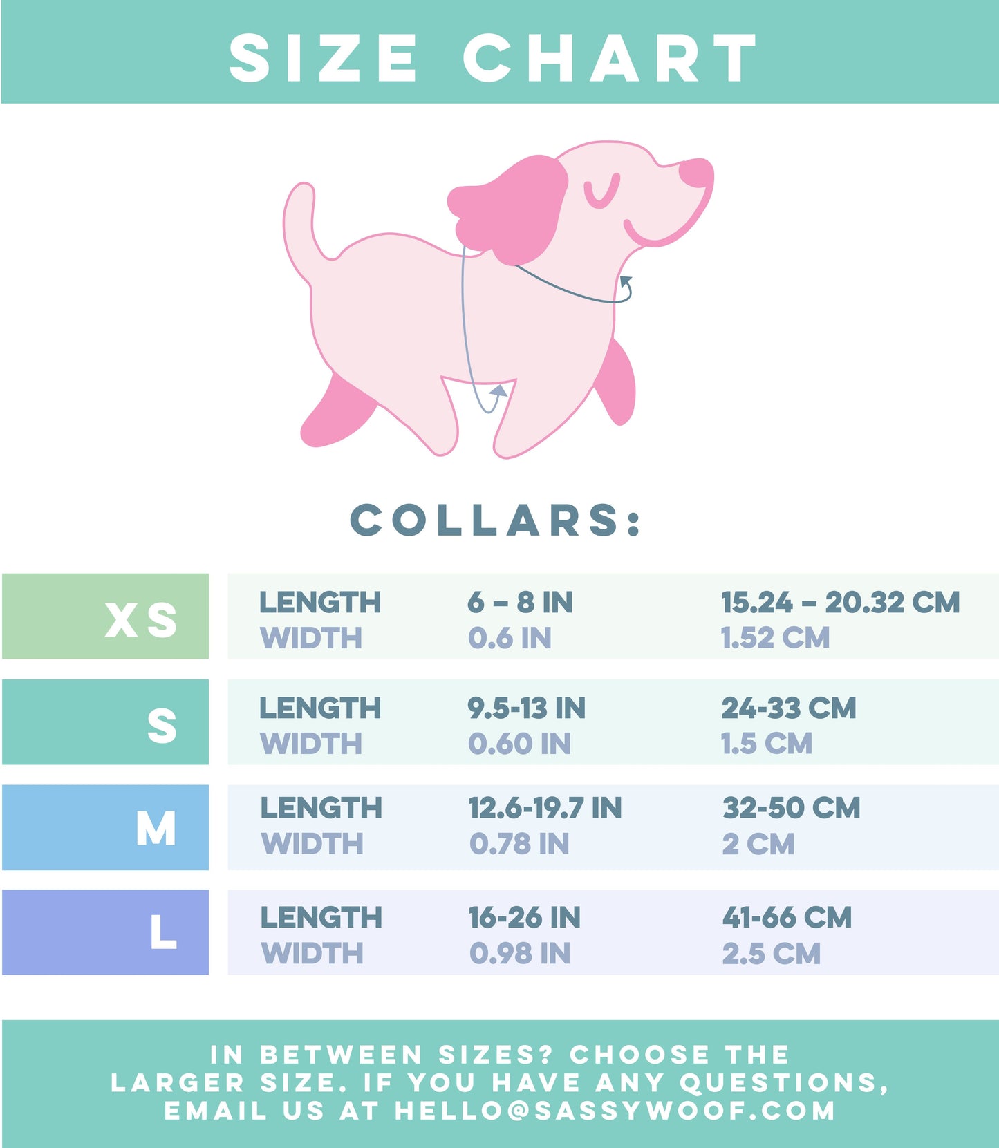 Dog Collar Three Piece Bundle - Care Bears™ Care-a-Lot