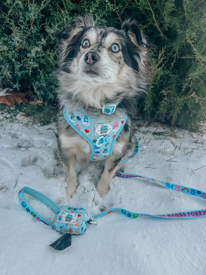 Dog Collar Three Piece Bundle - Care Bears™ Care-a-Lot