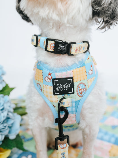 Dog Collar - Patch Perfect