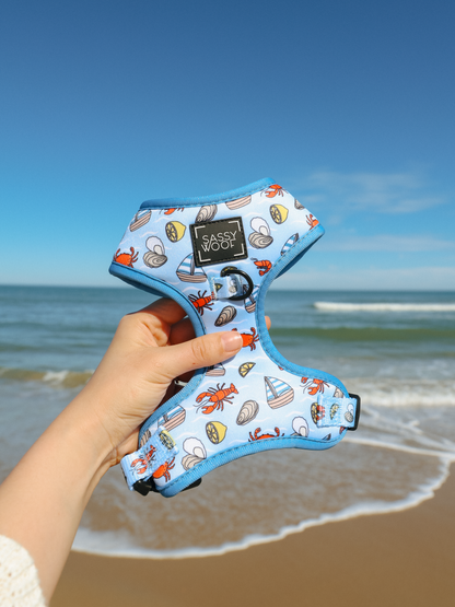 Dog Four Piece Bundle - Coastal Cuties