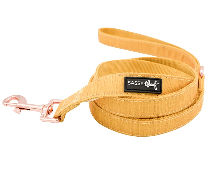 Dog Collar Three Piece Bundle - Sunflower Fields