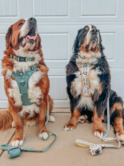 Dog Step-in Harness - Sage