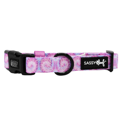 Dog Collar - Purple Haze