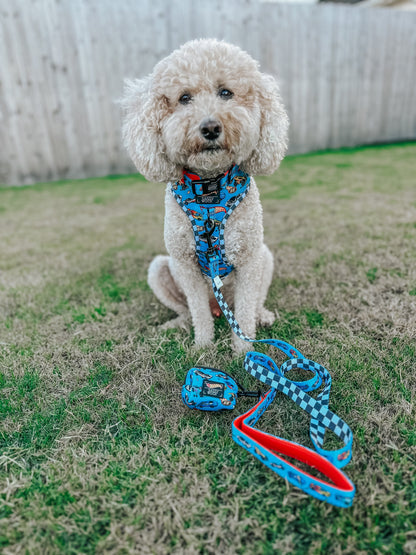 Dog Leash - Hot Wheels™