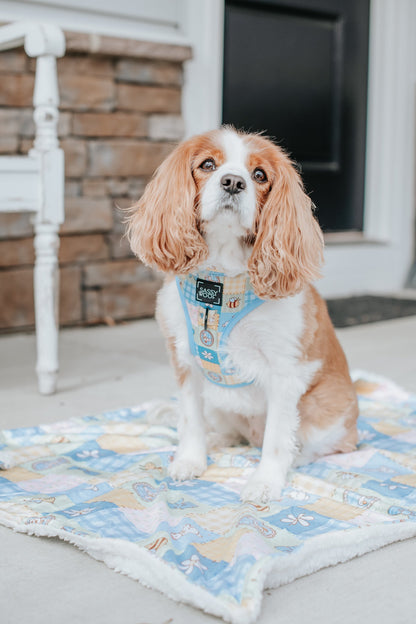 Dog Two Piece Bundle - Patch Perfect
