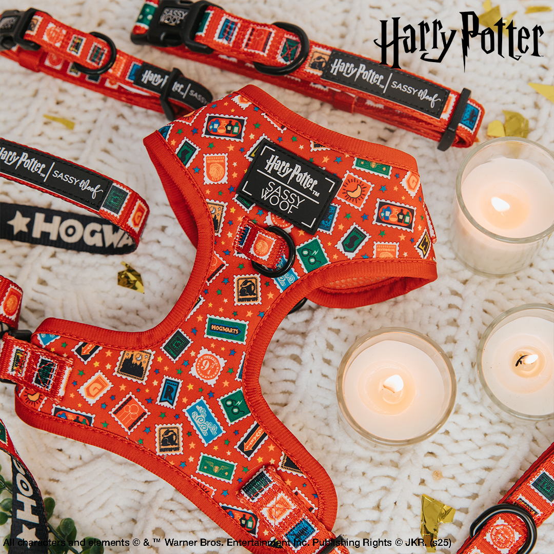 Harness Three Piece Bundle - Harry Potter™ Stamps