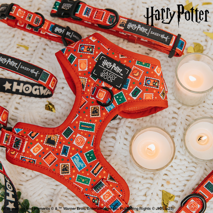 Harness Three Piece Bundle - Harry Potter™ Stamps