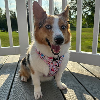 Dog Adjustable Harness - Disney's Aurora