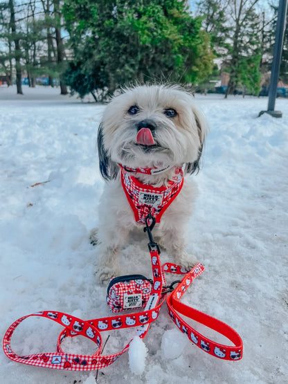 Dog Two Piece Bundle - Hello Kitty® Red Classic
