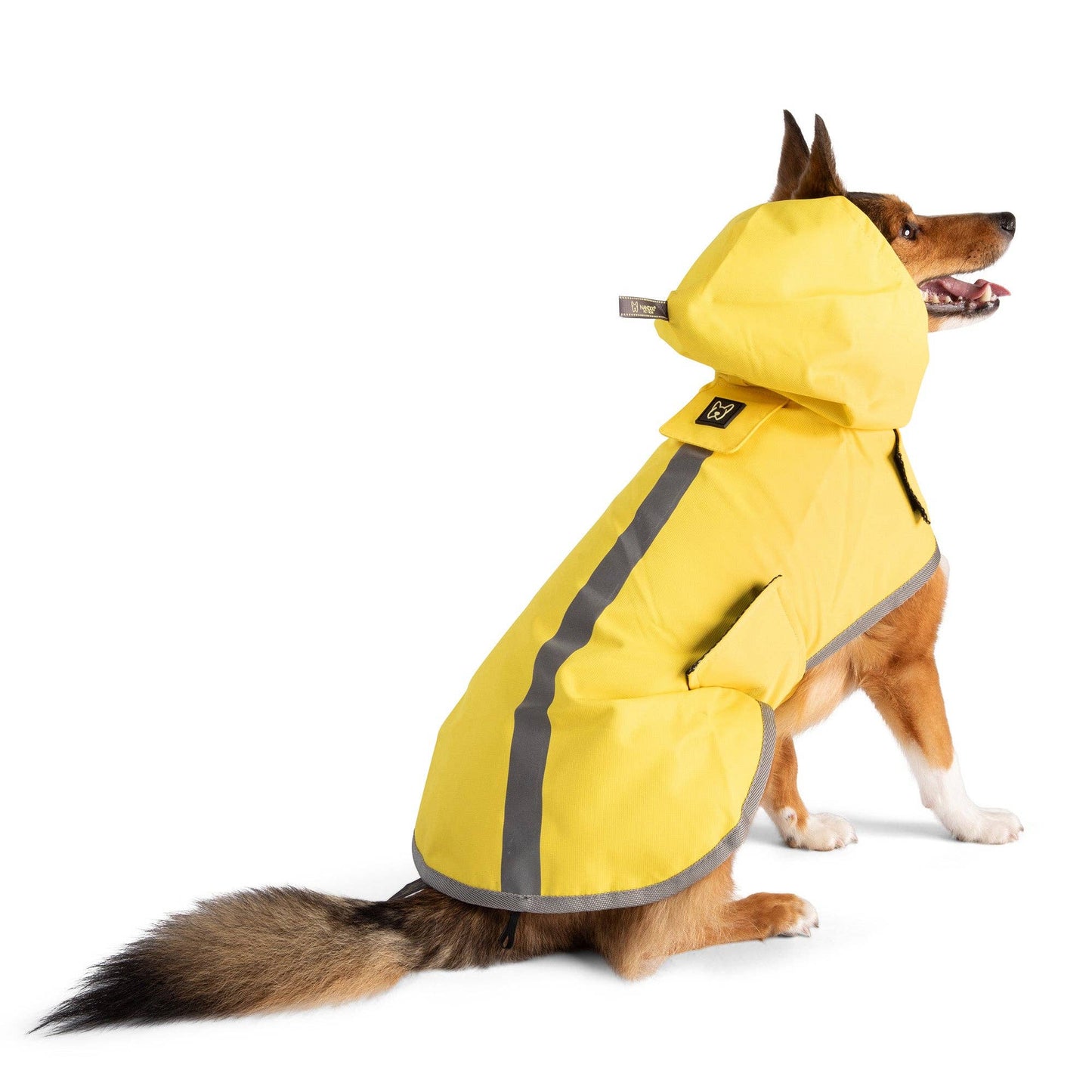 Nandog Pet Gear - Rain Coat Nandog Sport Collection: M