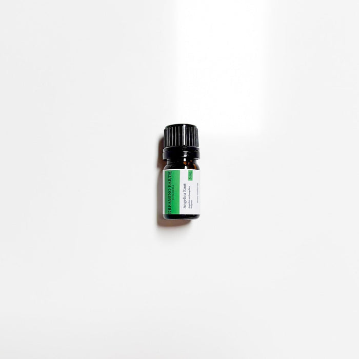 Angelica Root Essential Oil