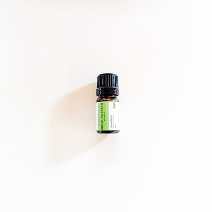 Aniseed (Anise Seed) Essential Oil