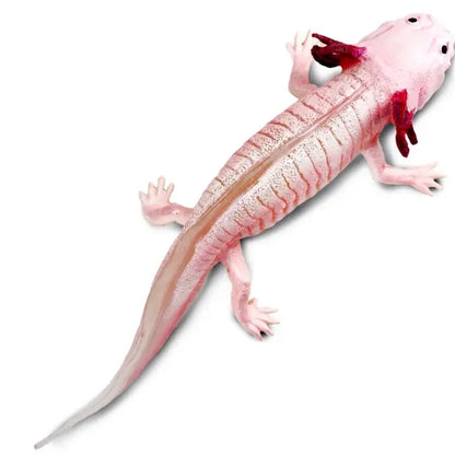 Axolotl