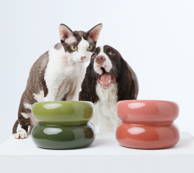 PEHOM - Soufflé Pet Bowl - Rose Pink