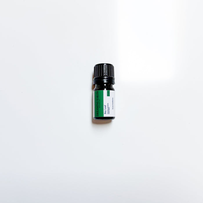 Bay Leaf (West Indies) Essential Oil