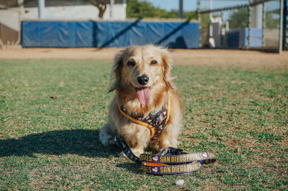 Dog Two Piece Bundle - MLB™ x Peanuts™ San Diego Padres™