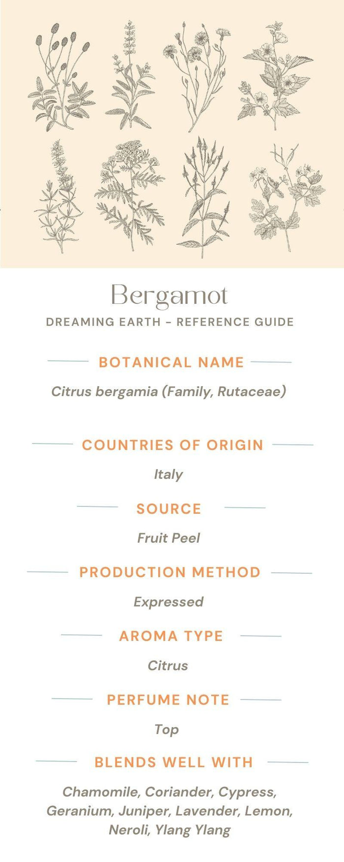 Bergamot Organic Essential Oil - Dreaming Earth Inc