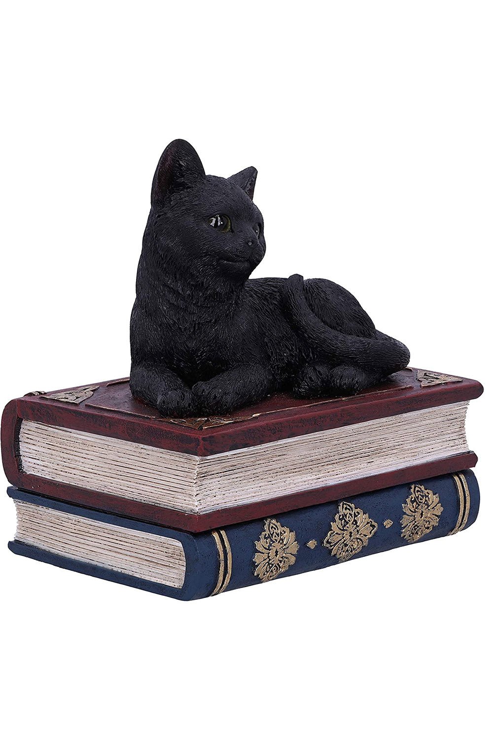 Black Cat Book Box