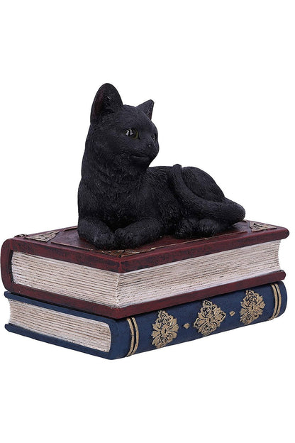 Black Cat Book Box