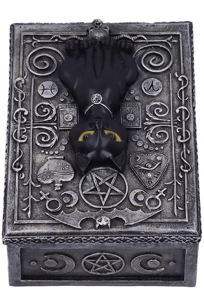 Black Cat Tarot Box