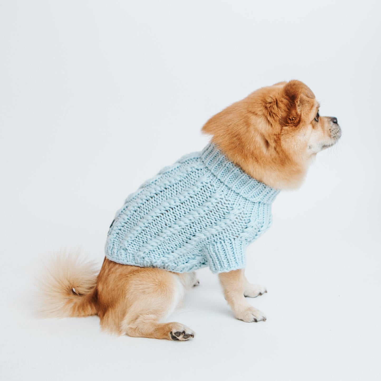 Pet Cable Knit Sweater - Light Blue