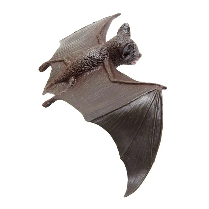 Brown Bat