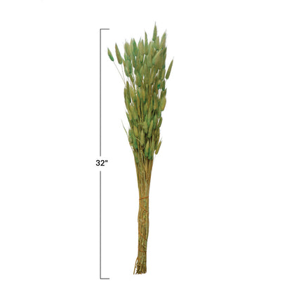 Bouquet of mint dried bunny tails with a measurement label indicating a length of 32 inches on a white background.