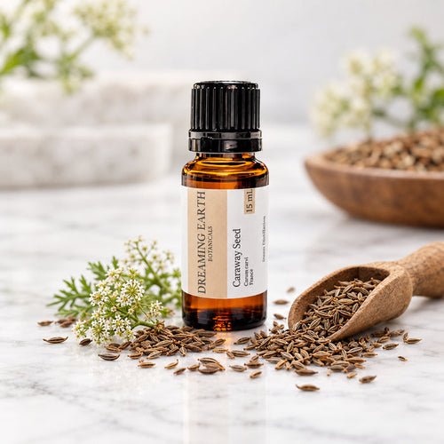 Caraway Seed Essential Oil
