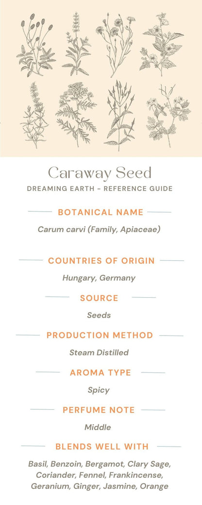 Caraway Seed Essential Oil