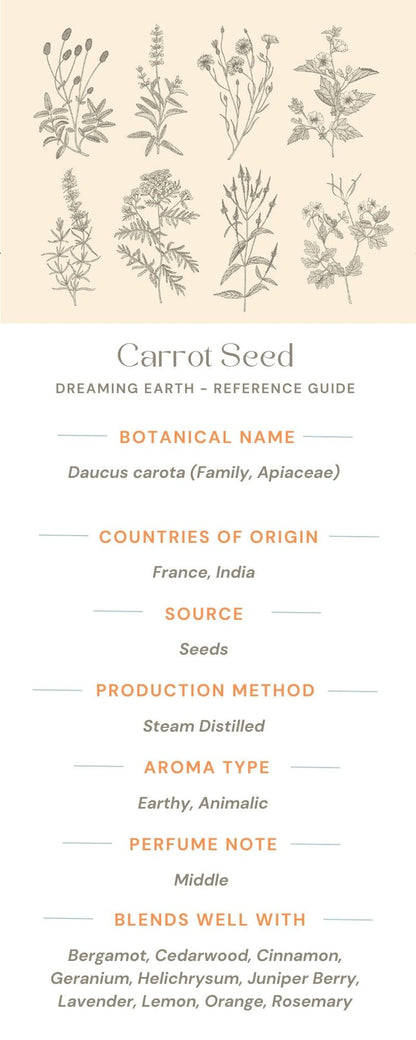 Carrot Seed Essential Oil