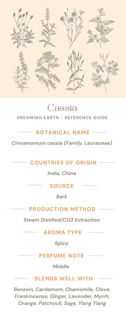 Cassia Essential Oil
