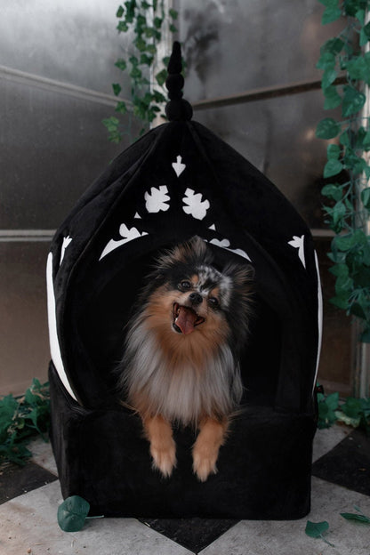 Cathedral Pet Bed