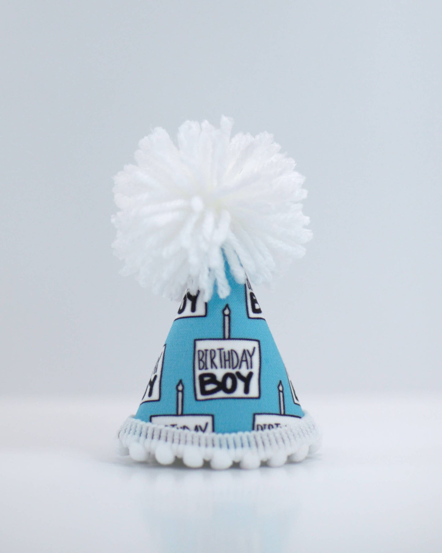 Pup Party Hats - Birthday Boy Black Ink Party Hat