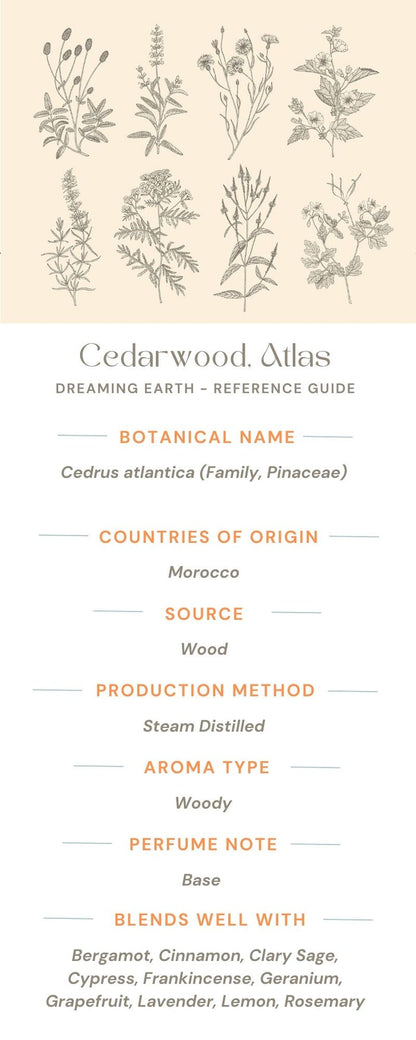 Cedarwood Atlas Essential Oil - Dreaming Earth Inc