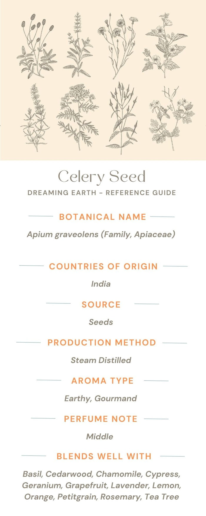 Celery Seed Essential Oil