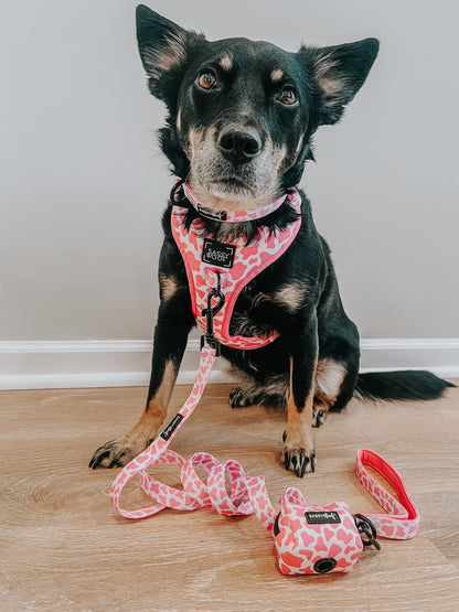 Dog Leash - Strawberry Milk