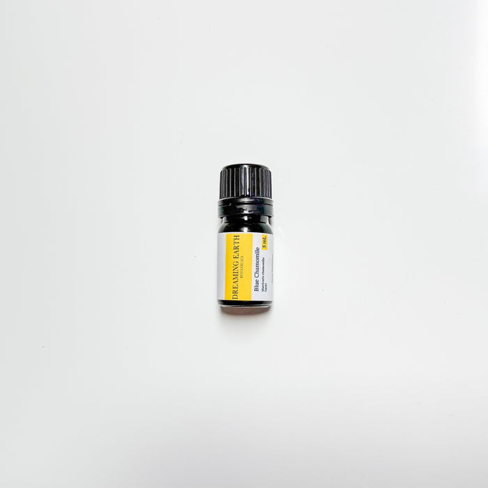 Chamomile, Blue (German) Essential Oil
