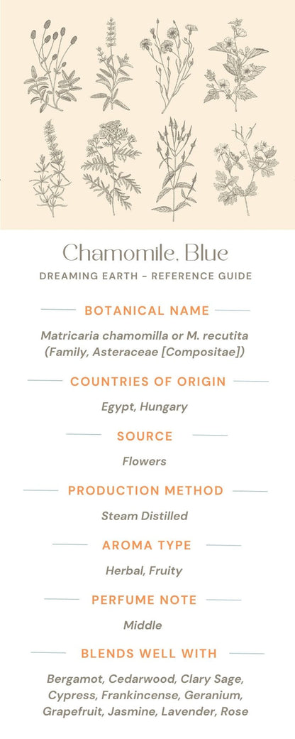 Chamomile, Blue (German) Essential Oil - Dreaming Earth Inc