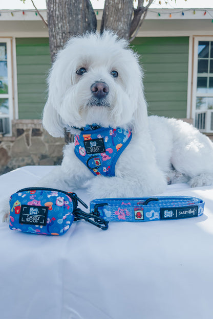 Dog Adjustable Harness - Blue's Clues™