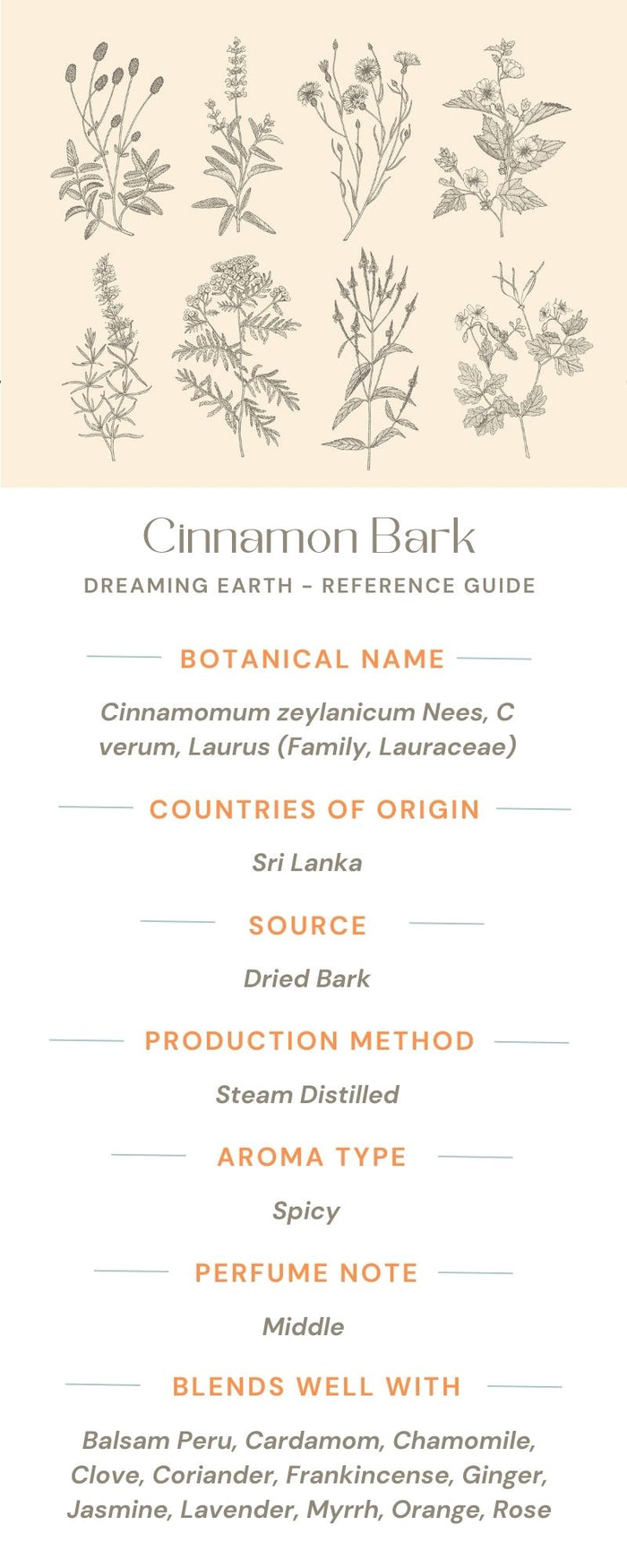 Cinnamon Bark Essential Oil - Dreaming Earth Inc