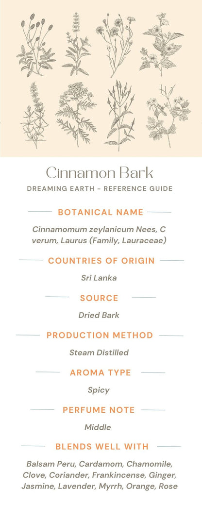 Cinnamon Bark Essential Oil - Dreaming Earth Inc