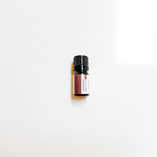 Cinnamon Leaf Essential Oil