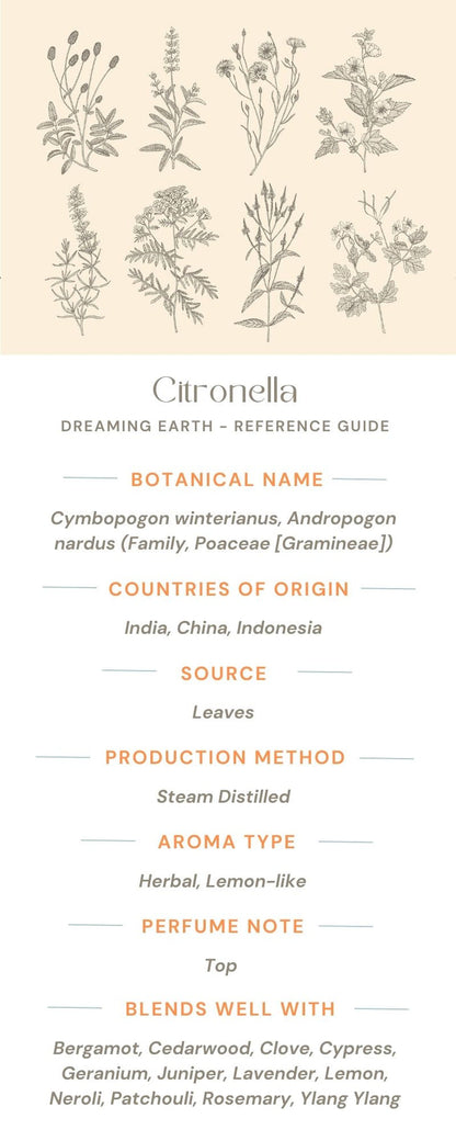 Citronella Organic Essential Oil - Dreaming Earth Inc