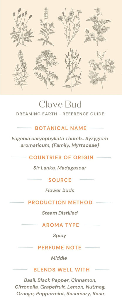 Clove Bud Organic Essential Oil - Dreaming Earth Inc