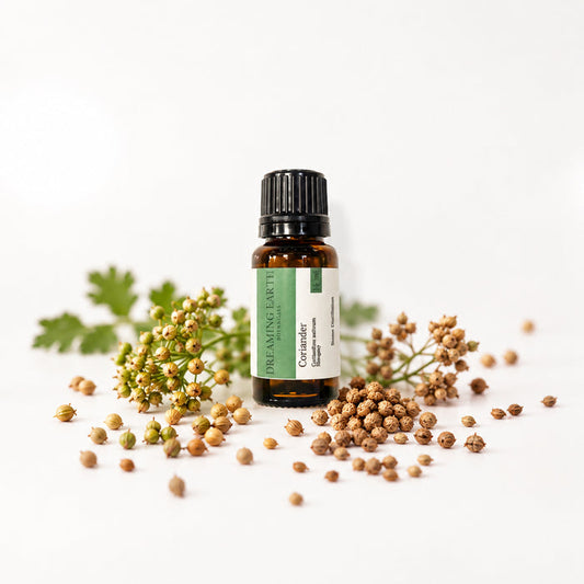 Coriander Essential Oil