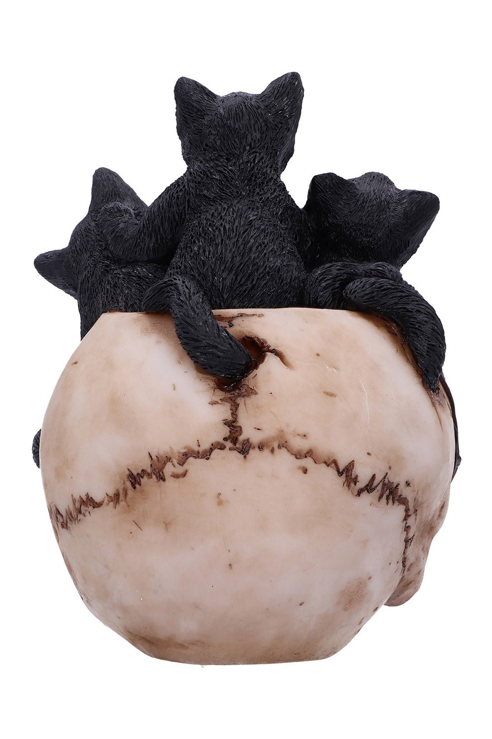 Cranial Litter Sculpture