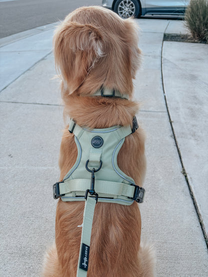Dog Three Piece Bundle - Matcha