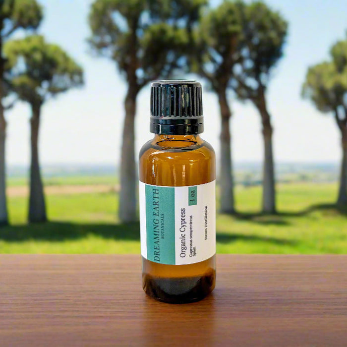 Cypress Organic Essential Oil