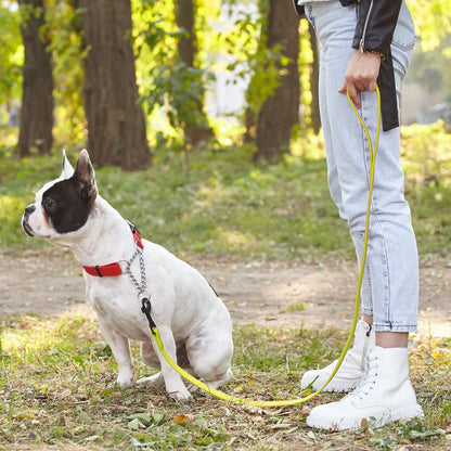 Dogline - Biothane Waterproof Leash